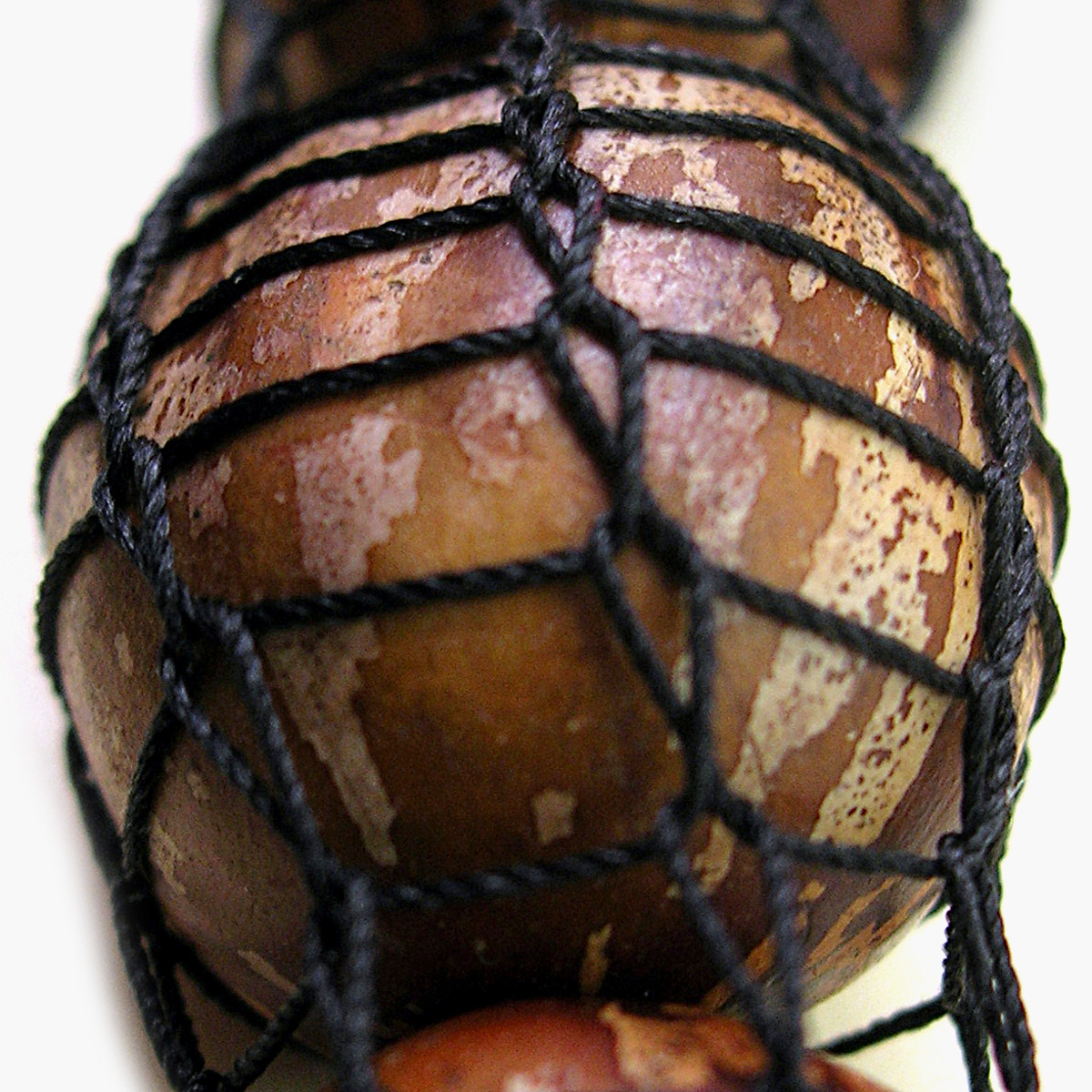 Florence Jaquet // The siren song // organiques.ch