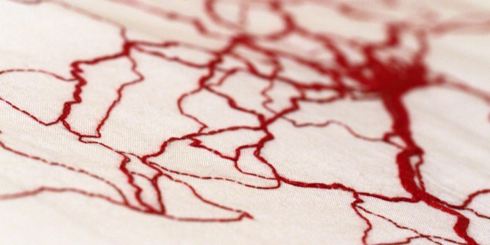 Florence Jaquet // Little Honda / organiques.ch