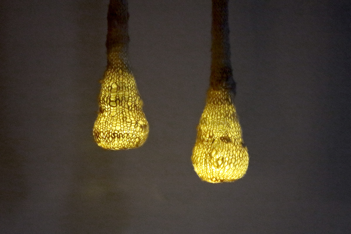 Florence Jaquet // Illumination // organiques.ch